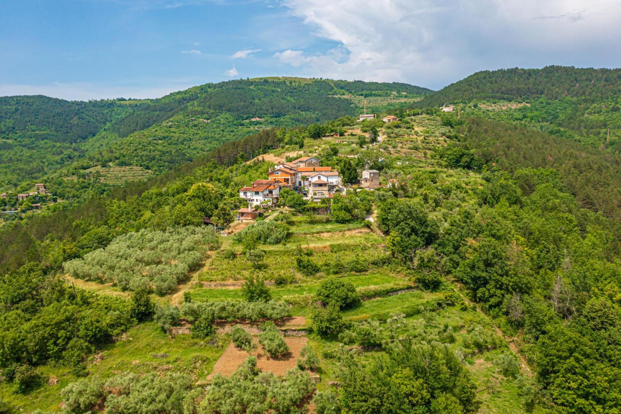 Holiday Home Belveder Motovun With Heated Pool Livade Esterno foto