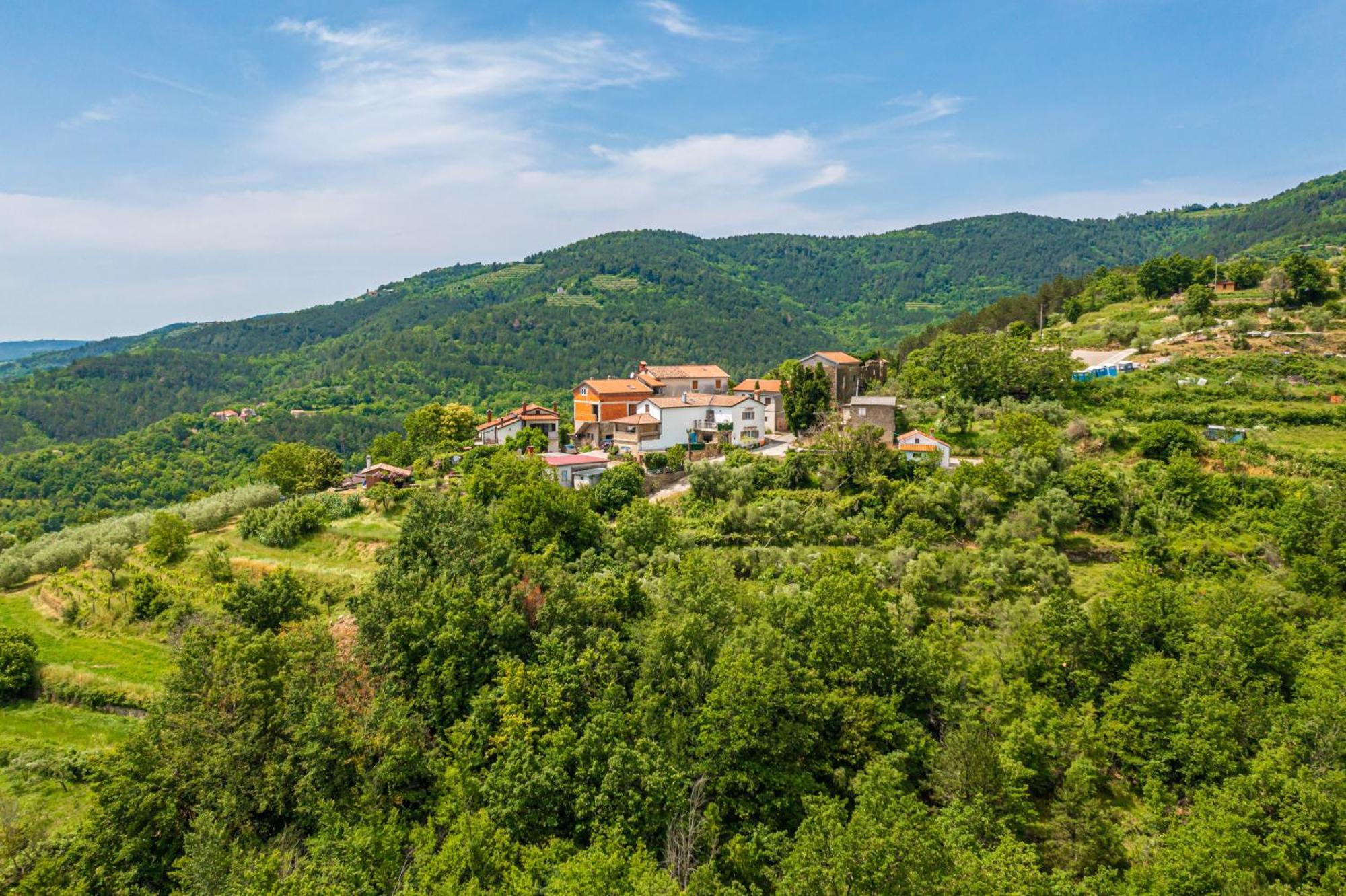 Holiday Home Belveder Motovun With Heated Pool Livade Esterno foto