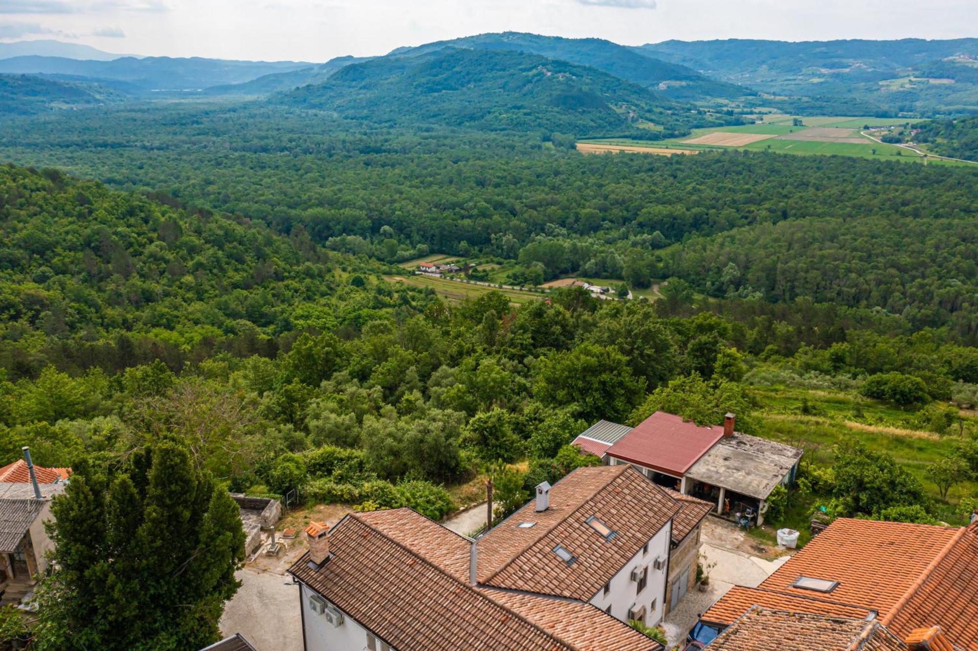 Holiday Home Belveder Motovun With Heated Pool Livade Esterno foto